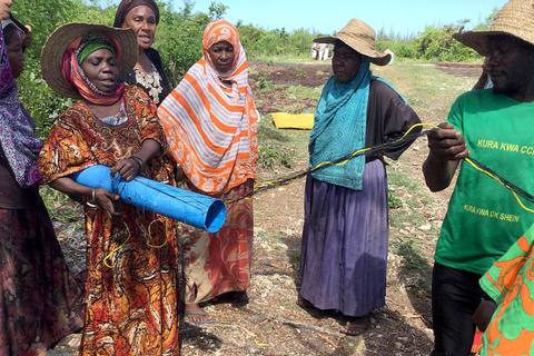 Zanzibar: Seaweed Farm and Starfish Tour