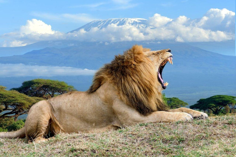 5-Day Safari to Amboseli, Tsavo West,Taita & Tsavo East