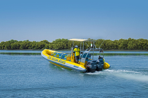 Abu Dhabi: 45 Minutes Yas Island Sightseeing Speedboat Tour Amazing spots,attractions, nature, architectural structures.