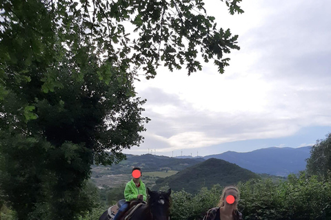 Sorrento: Horseback ride on Mount Faito with lunch Sorrento: Horseback riding excursion to Mount Faito with lunch