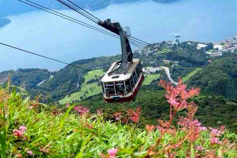From Tokyo: Mount Fuji Private Customized Day Tour by Van Mt. Fuji & Hakone Full Day Private Customized Tour