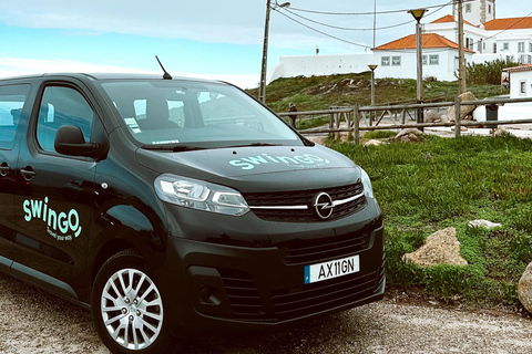 Lisbona: Tour privato di mezza giornata di Sintra con il Palazzo PenaTour standard