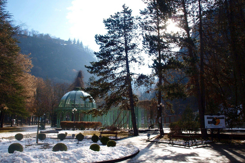 From Tbilisi Bakuriani and Borjomi Day Trip