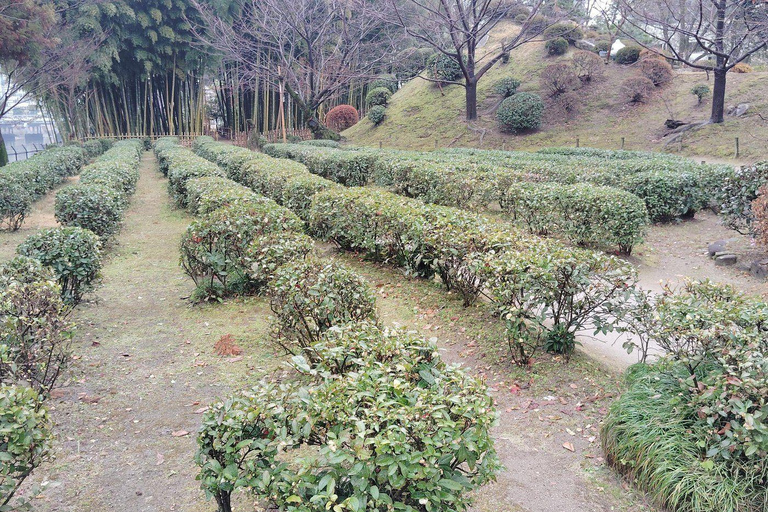 هيروشيما: جولة استكشاف الجزيرة والرحلة الروحية