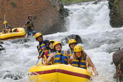 Bali: Telaga Waja River Rafting Small-Group Tour with LunchStandard: Rafting Tour with Lunch &amp; Shared Transfer