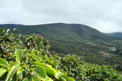 Poás Volcano: Day Tour + Breakfast & Starbucks Coffee Farm