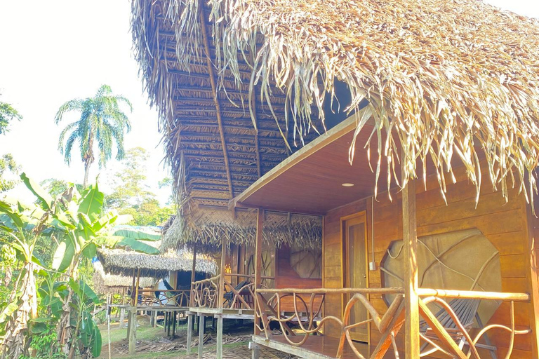 Explore Yasuní: 4-Day, 3-Night Getaway in a Standard Room Yasuní, 4 days and 3 nights. Standard room.