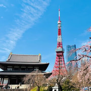 Tokyo: Private Full-Day Highlights Tour by Car with Guide