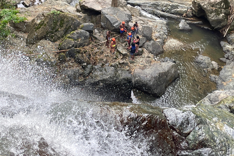 Tobago: Argyle Waterfall Adventure