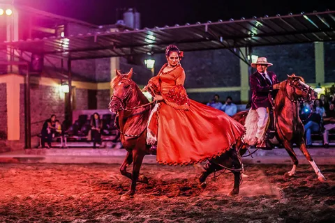 Lima: Almoço buffet, espetáculo de dança | Cavalos de Paso Peruanos |