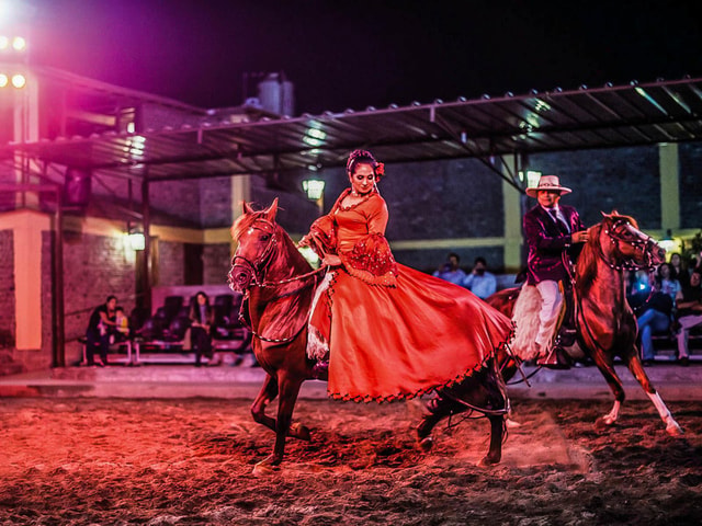 Lima: Buffet Lunch , dance show | Peruvian Paso Horses |