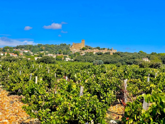 Visit Wine Tour On the Way to Chateauneuf du Pape in Carcassonne and Gigondas