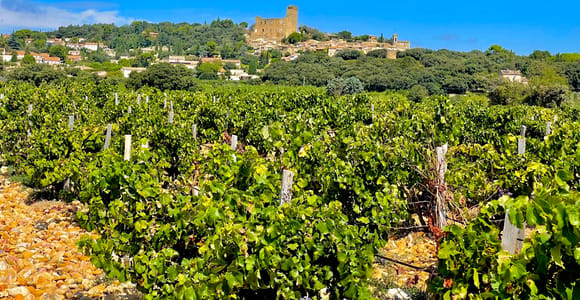 Wein Tour: Auf dem Weg nach Chateauneuf du Pape