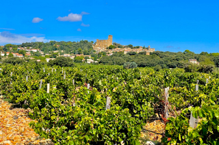Tour del vino: In viaggio verso Chateauneuf du Pape
