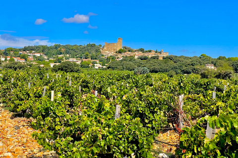 Wine Tour: On the Way to Chateauneuf du Pape
