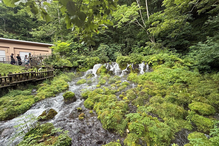 Sapporo: Private 2-Day Lake Toya & Hakodate Tour with Hotel