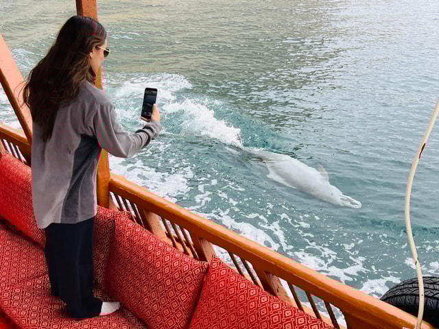 Khasab Musandam Fjords Cruise met snorkelen (halve dag)
