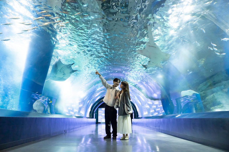 Tokyo: Maxell Aqua Park Shinagawa Direct Entry Ticket