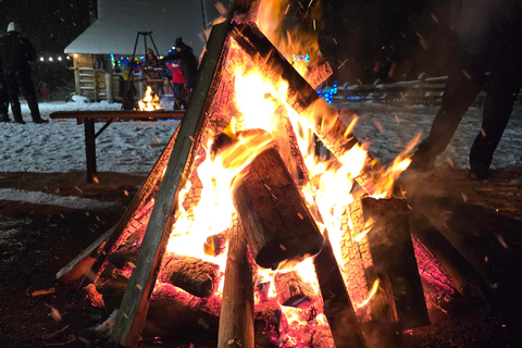 Zakopane: Chochołowska Valley Sleigh Ride with Bonfire