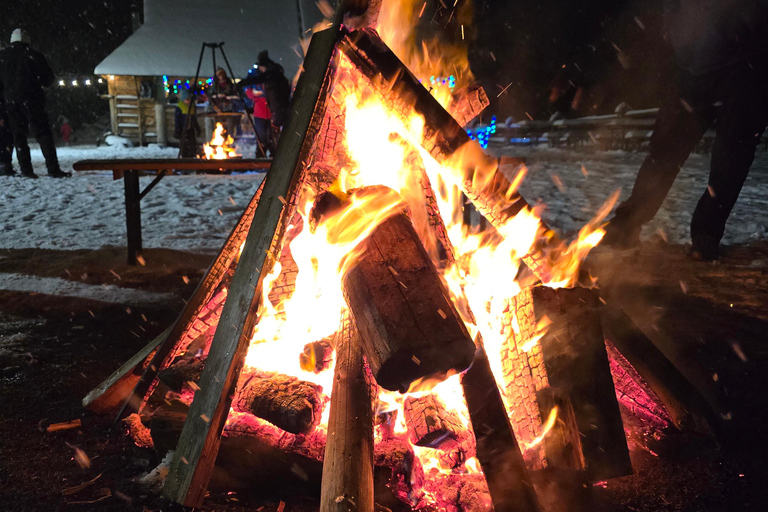 Zakopane: Chochołowska Valley Sleigh Ride with Bonfire