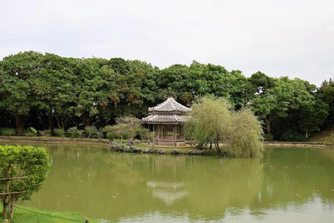 Naha in Step: A Walking Tour Through History and Island Life