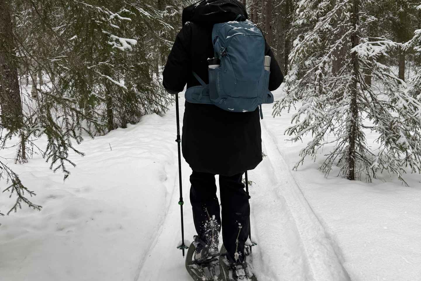 Överkalix - Lapland : Full-Day Snowshoe Tour with Lunch