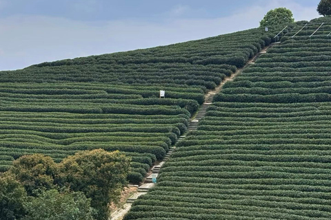 من هانغتشو: قرية لونغوو للشاي، جولة في بلدة لونغمن والسدGuide for other languages