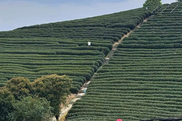 من هانغتشو: قرية لونغوو للشاي، جولة في بلدة لونغمن والسدGuide for other languages