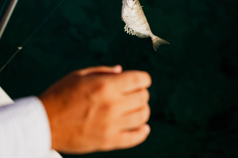 Dia: Day & Sunset Cruise with Menu by Greece's Top 100 Chef