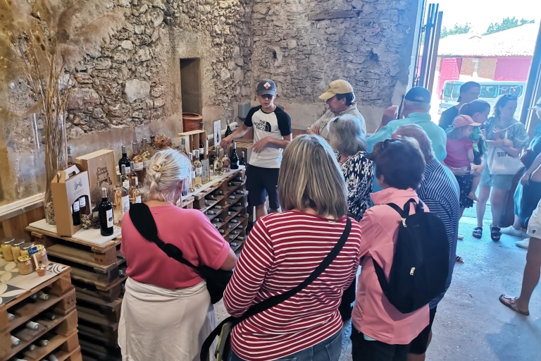 Z Marsylii: wycieczka po winnicach z degustacjami wina