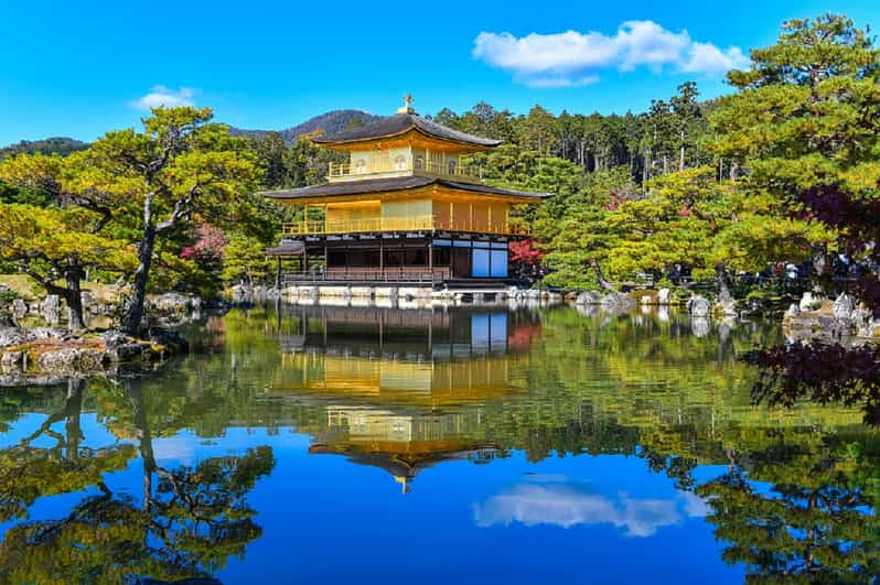 Osaka:Kyoto and Nara 1-Day tour from Osaka/Kyoto | GetYourGuide