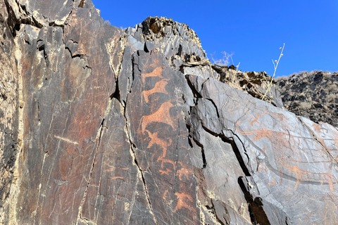 Bukhara: Nurata, Sarmyshsoy Petroglyphs & Gijduvan Day Trip Tour to Sarmyshsoy Gorge with a Small Group
