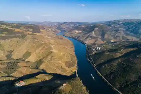 Do Porto: Prova de Vinhos com Almoço em Quinta, Barco Tradicional e Comboio