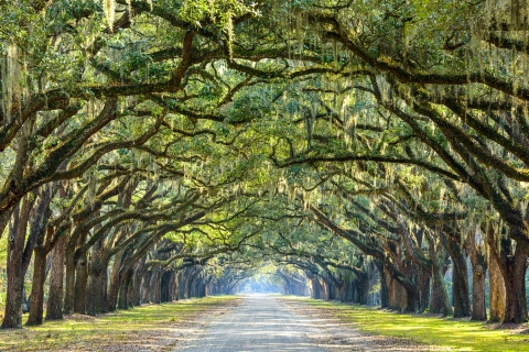Historische Savannah-wandeltocht