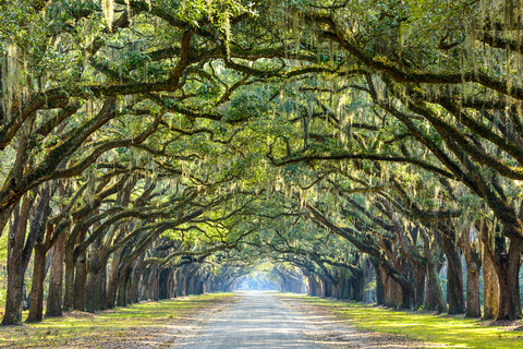 Historisk rundvandring i Savannah