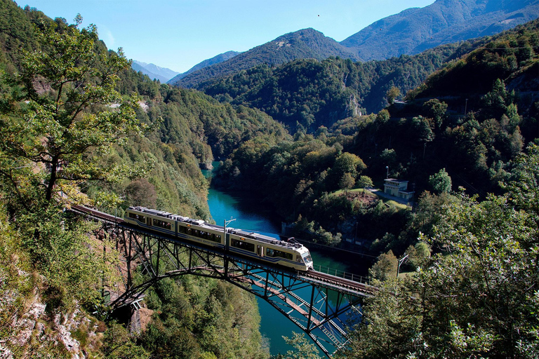 Zurich: Hardcore Swiss Train Tour–4 Scenic Railways in 1 day Excluding Train Tickets