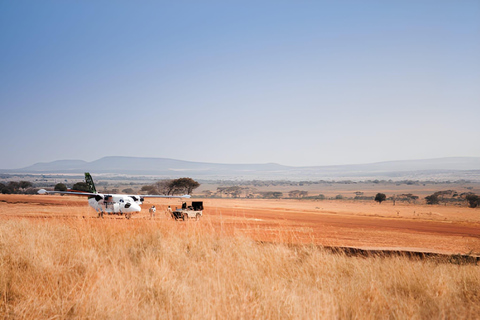 Séjour safari de 4 jours en Tanzanie à Noël et au Nouvel AnSéjour de 4 jours en Tanzanie pour Noël et le Nouvel An
