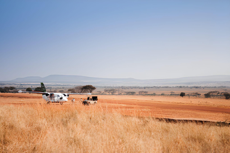 Séjour safari de 4 jours en Tanzanie à Noël et au Nouvel AnSéjour de 4 jours en Tanzanie pour Noël et le Nouvel An
