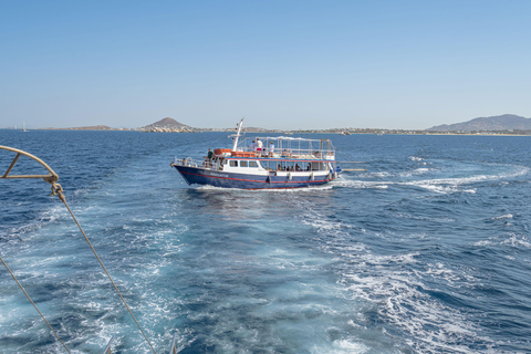 From Naxos: Schinoussa and Iraklia Sailing Cruise with BBQ