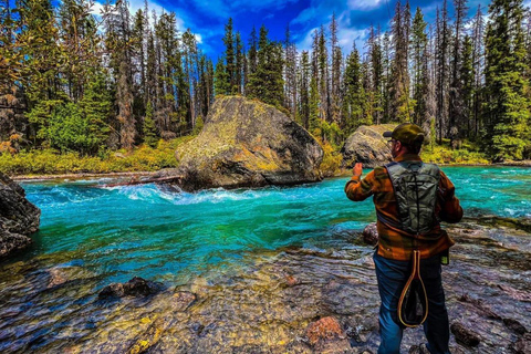 Banff/Calgary: Glaciar Crowfoot e 5 lagos icônicos - viagem de 1 dia