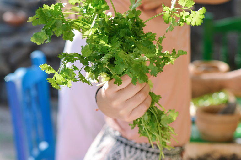 Mojo Workshop and botanical walk