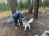 De Riga, de Husky Sledding ou de Wheel Cart Tour - Hizvo