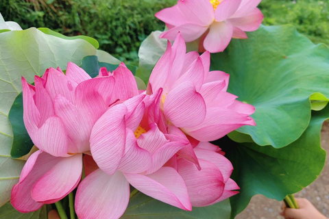 HANGZHOU: Farm Tour with Cooking Class and Flower Workshop
