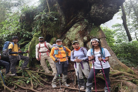 Kilimanjaro: 9 dias para você explorar a melhor rota do circuito norte