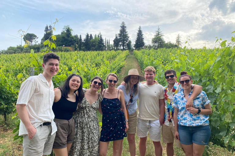 Florencia: Visita a la campiña con cata de vinos y clase de pasta