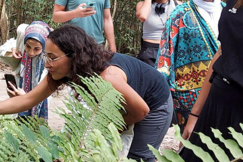 ZANZIBAR: Stone Town and Jozani Forest tour Tour without Hotel pickup and drop off