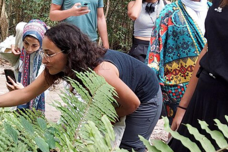 ZANZIBAR: Stone Town and Jozani Forest tour Tour without Hotel pickup and drop off