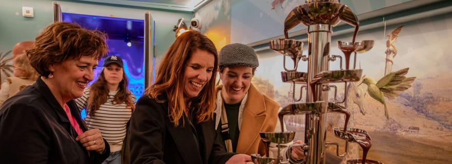 Den Bosch : L'expérience Bossche Bollen