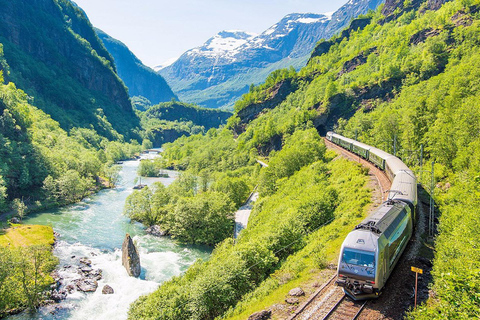 Visite guidée privée de la croisière Nærøyfjord d'Oslo et du chemin de fer de Flåm