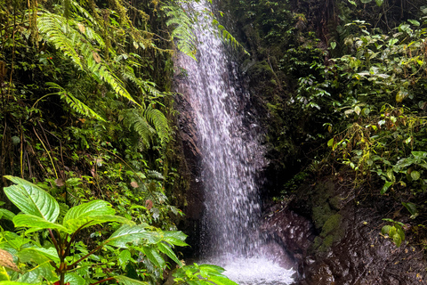 Quito: 2-Day Cloud Forest Experience